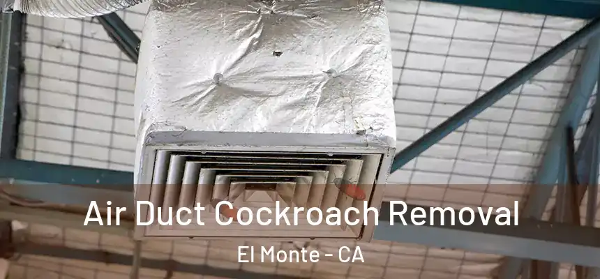  Air Duct Cockroach Removal El Monte - CA