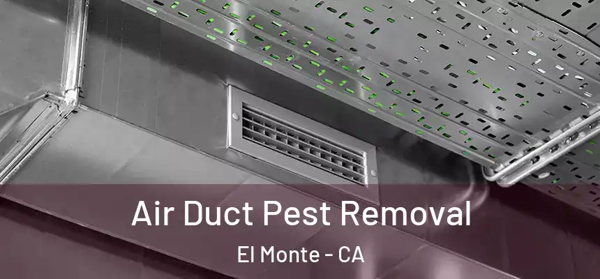  Air Duct Pest Removal El Monte - CA