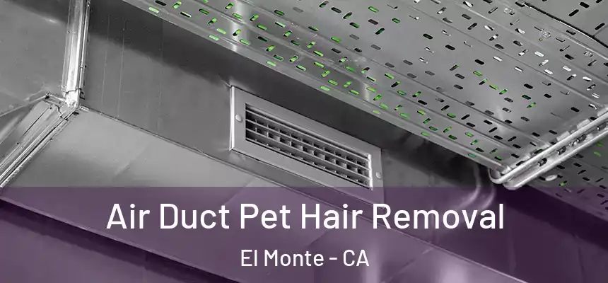  Air Duct Pet Hair Removal El Monte - CA
