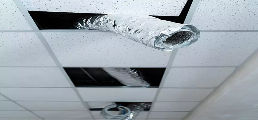 Affordable HVAC Sanitizing After Pest Removal in El Monte