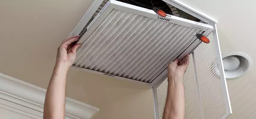 Our Insect Removal from Air Ducts Services in El Monte, CA