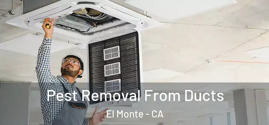  Pest Removal From Ducts El Monte - CA