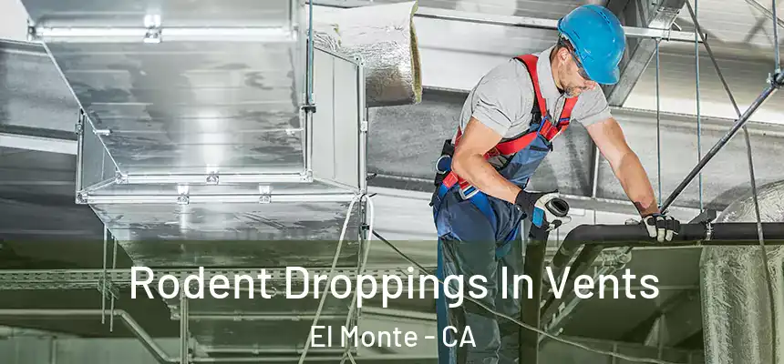  Rodent Droppings In Vents El Monte - CA