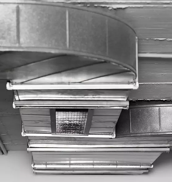 Professional Air Duct Pet Hair Removal in El Monte, CA