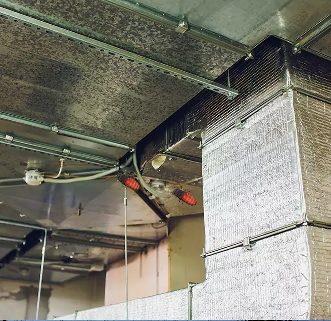 Why Homeowners & Businesses Trust Us in El Monte, CA?