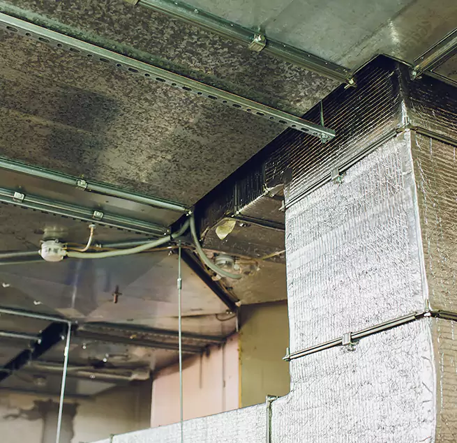 Why Homeowners & Businesses Trust Us in El Monte, CA?